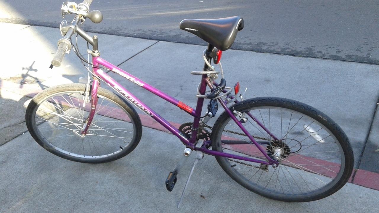 Schwinn High Plains Purple