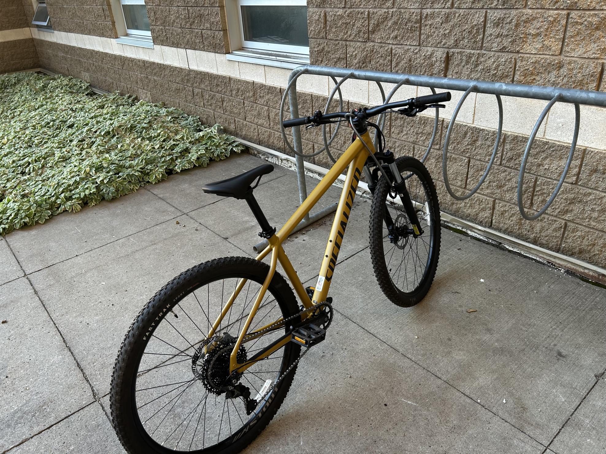 2025 Specialized Rockhopper Yellow or Gold