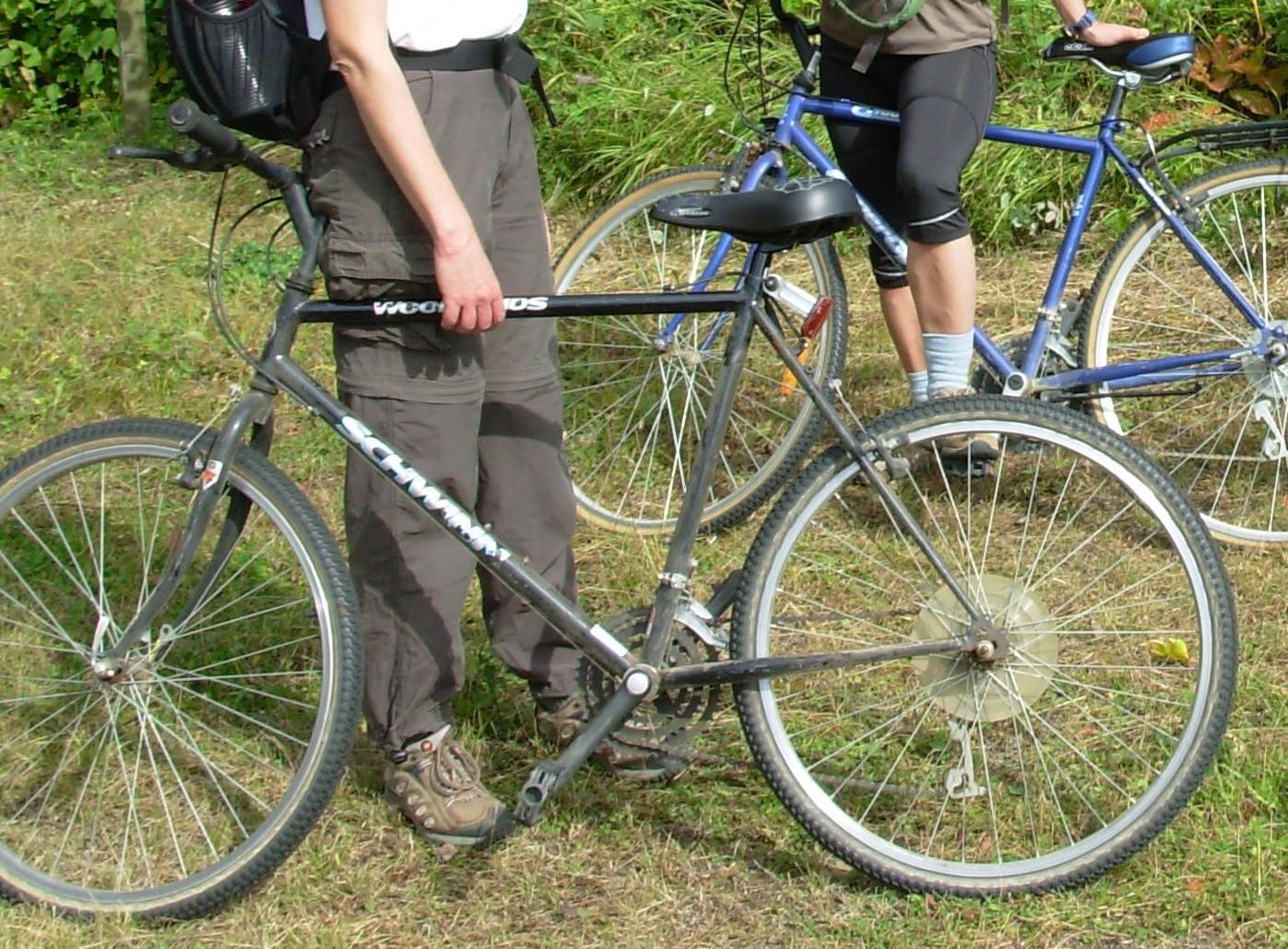 Schwinn Woodlands Black