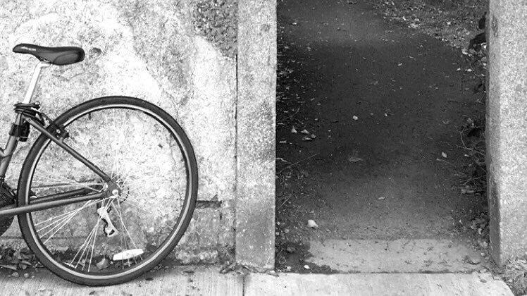 2014 city cycle Black