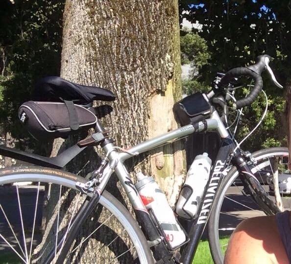 2009 Specialized Sequoia Silver or Gray