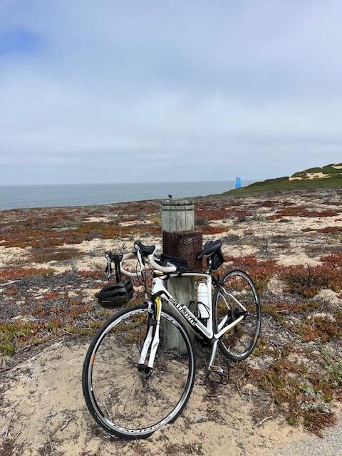 2012 Specialized Roubaix Elite Compact White and Yellow or Gold