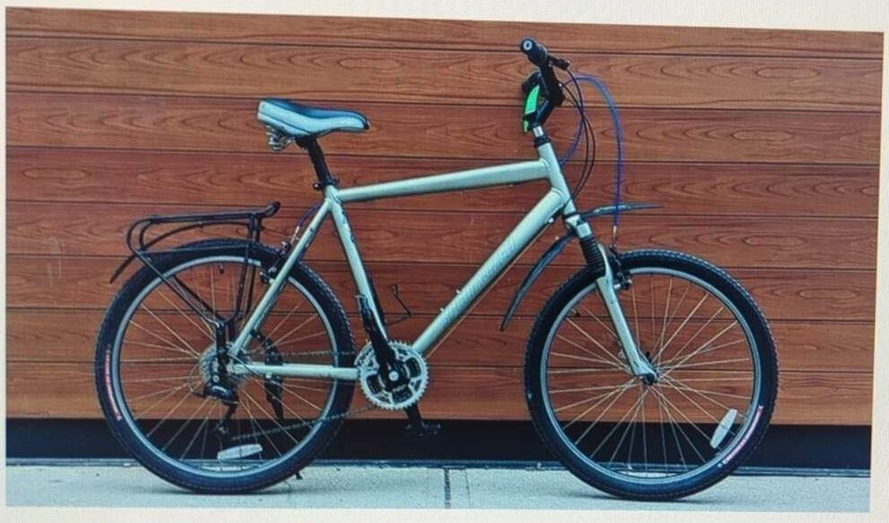 Specialized Expedition Silver, gray or bare metal