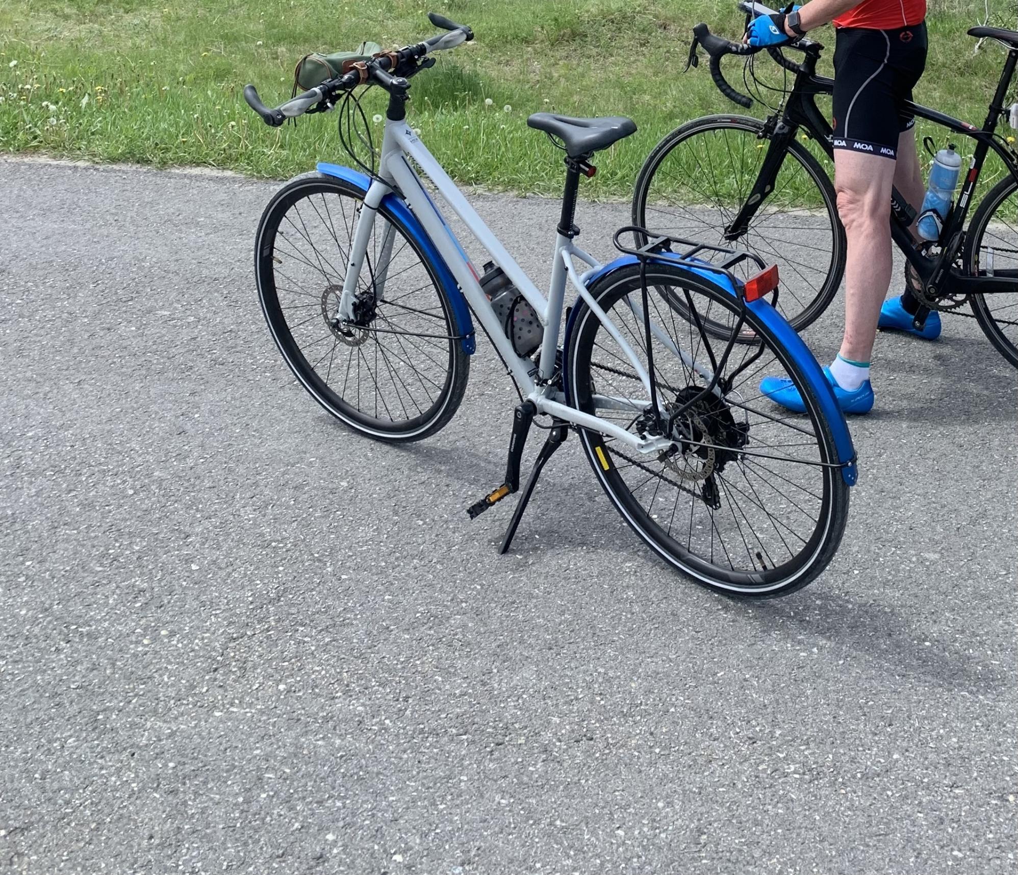 2016 Specialized Womens hybrid 54 cm Silver, gray or bare metal, Blue, and Stickers tape or other...