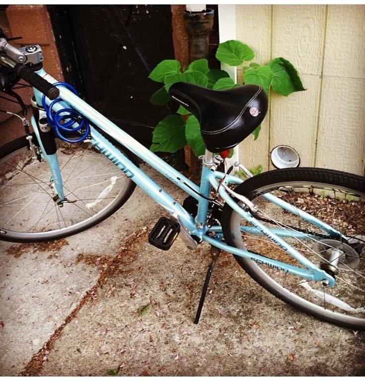 2010 Schwinn hybrid Teal