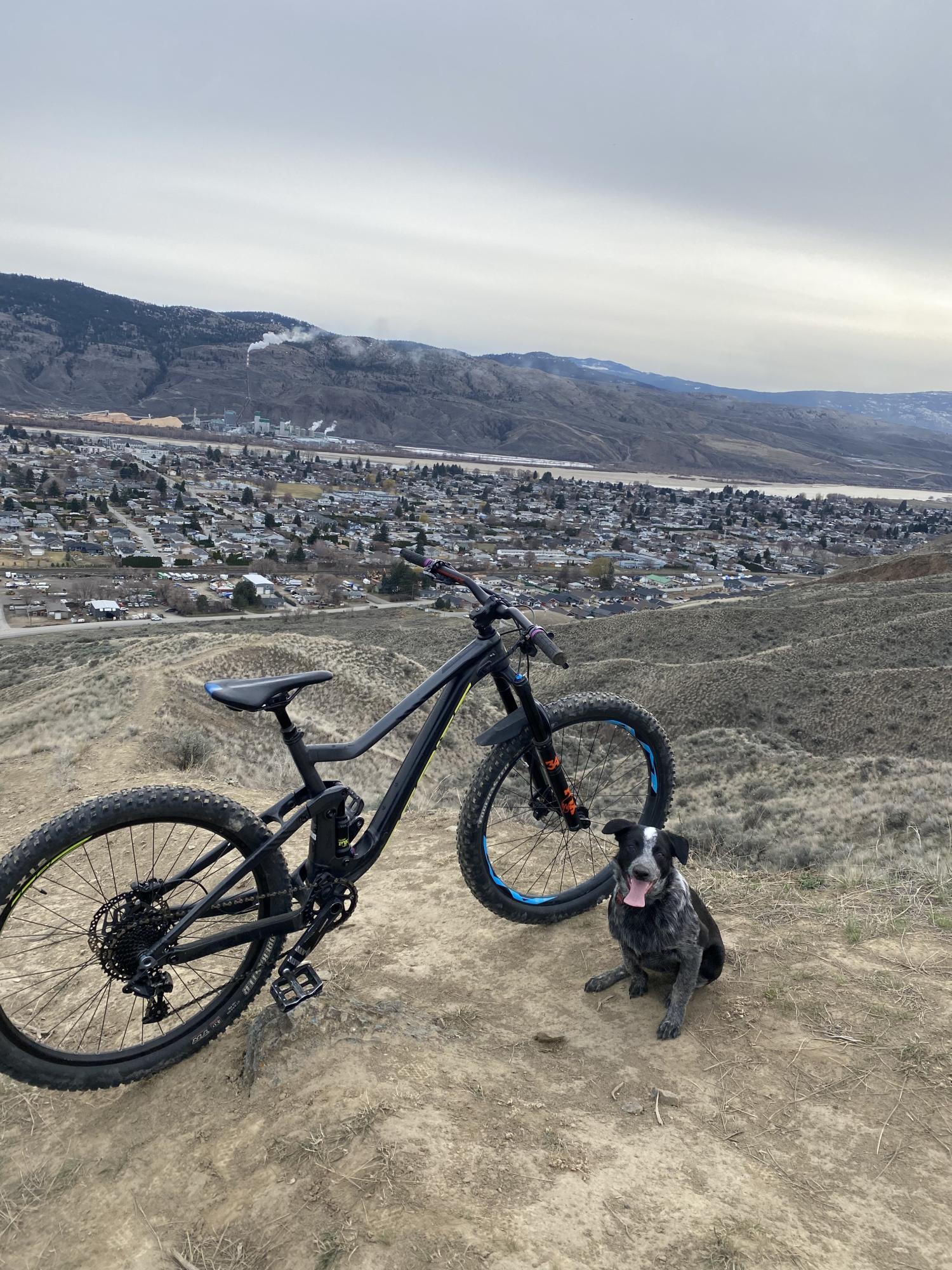 2018 SCOTT Genius Silver, gray or bare metal