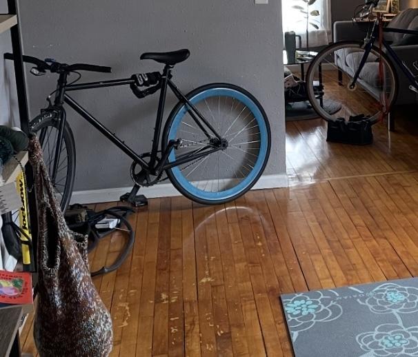2025 Pure Cycles Pure cycles Black