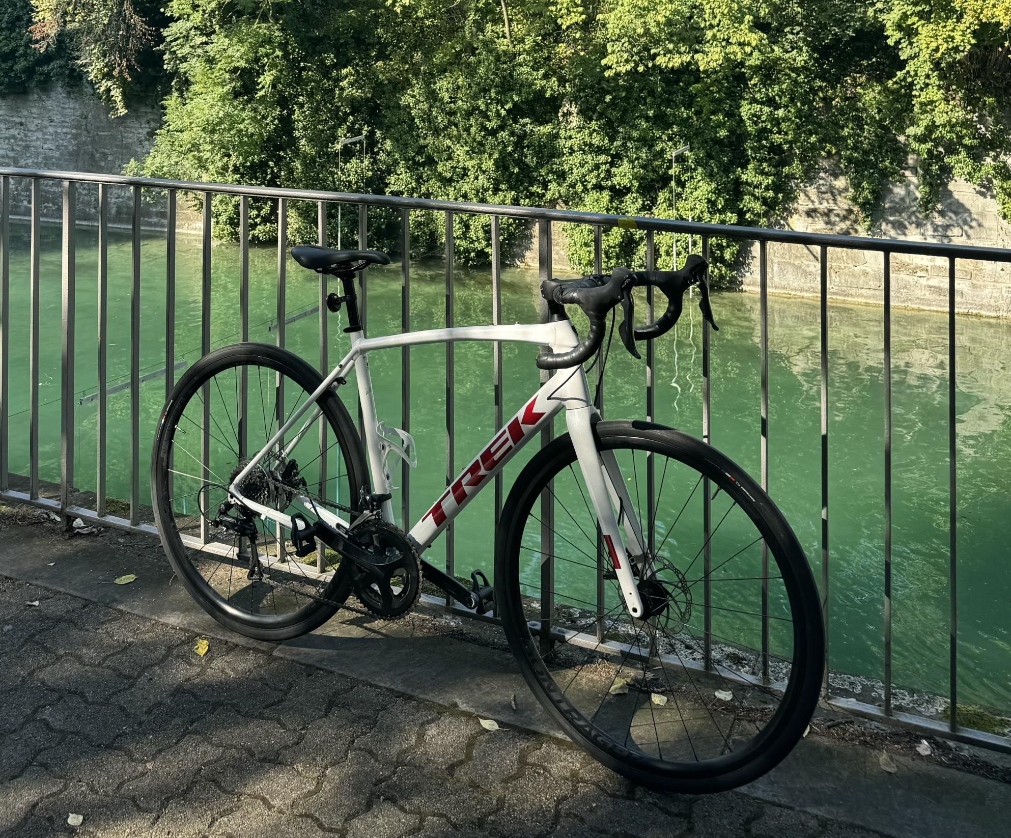2021 Trek Domane AL 3 White and Red