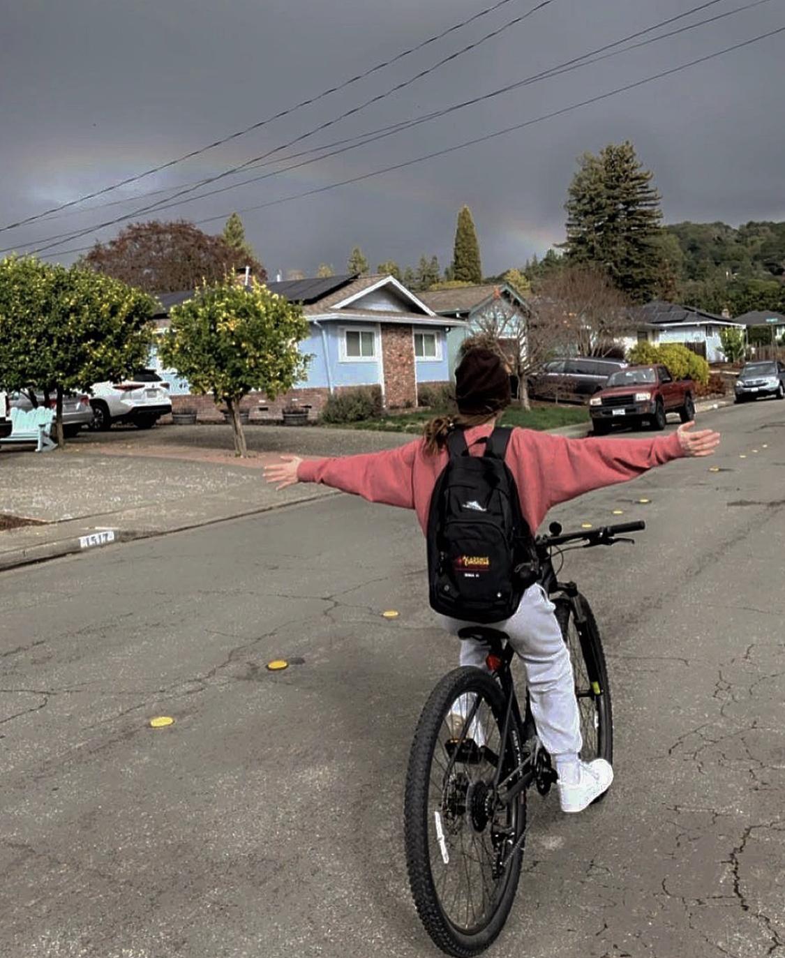 2019 Specialized Rockhopper Black