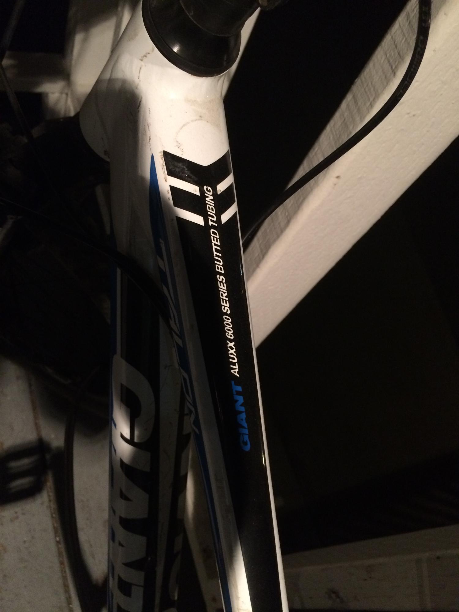 2011 Giant Talon 29er 1 White