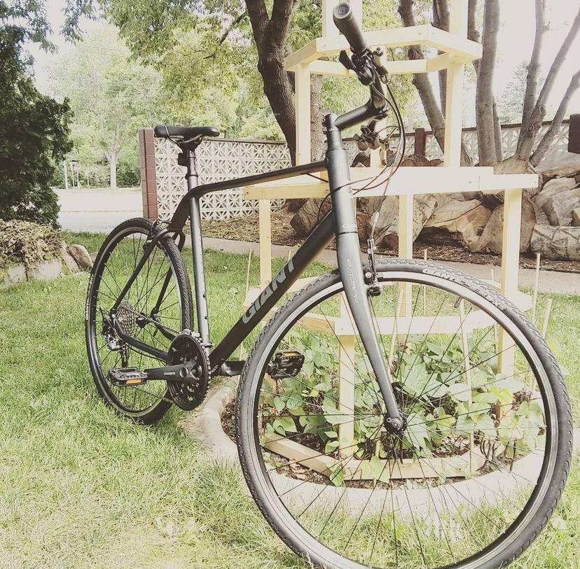 2017 Giant Escape Black