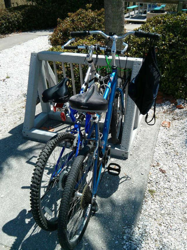 2006 Raleigh Venture  Blue