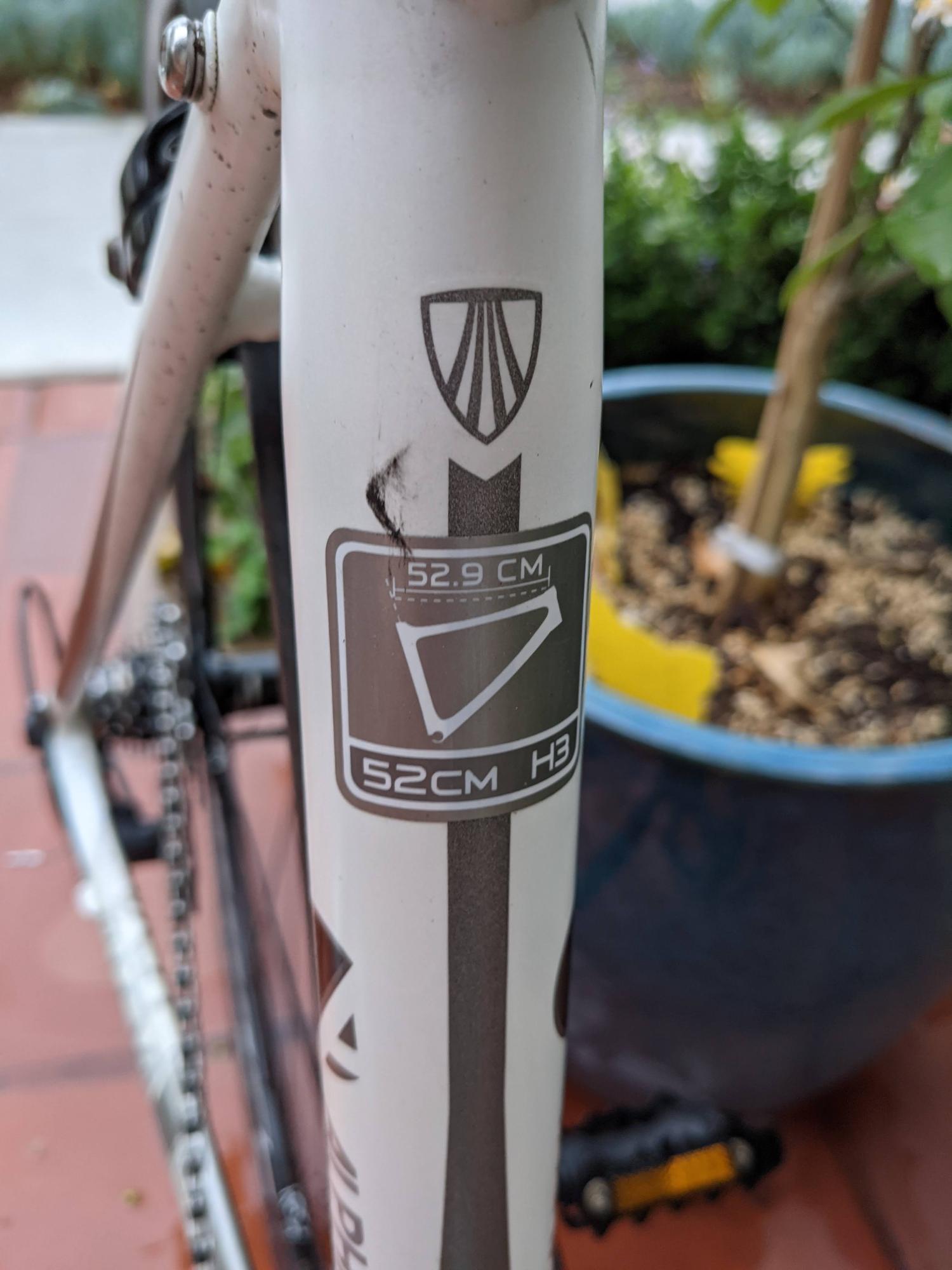 2011 Trek Lexa SLX White