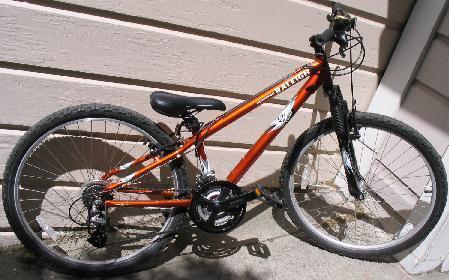 2006 Raleigh Mojave 2.0  Orange