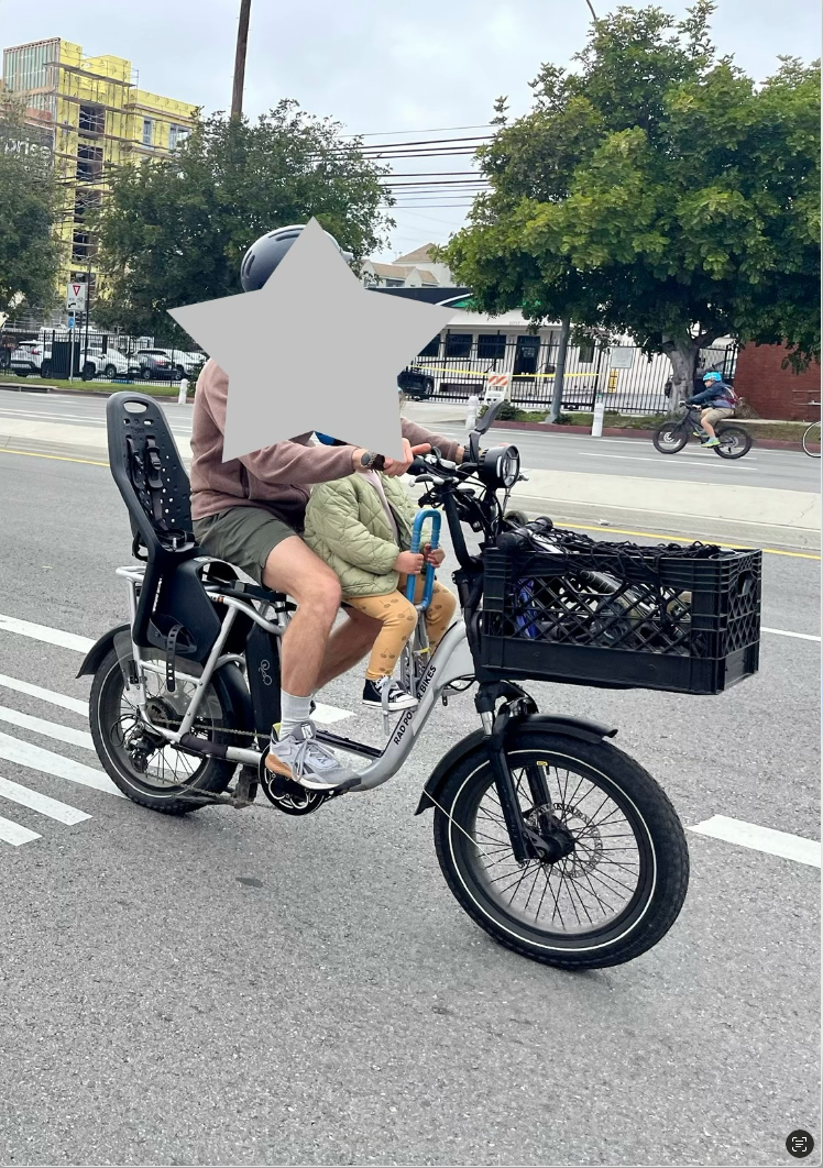 2021 Rad Power Bikes Radrunner Silver, gray or bare metal