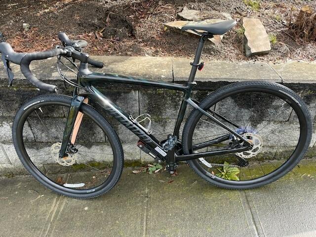 2021 Specialized Diverge Sport Carbob Black and Green
