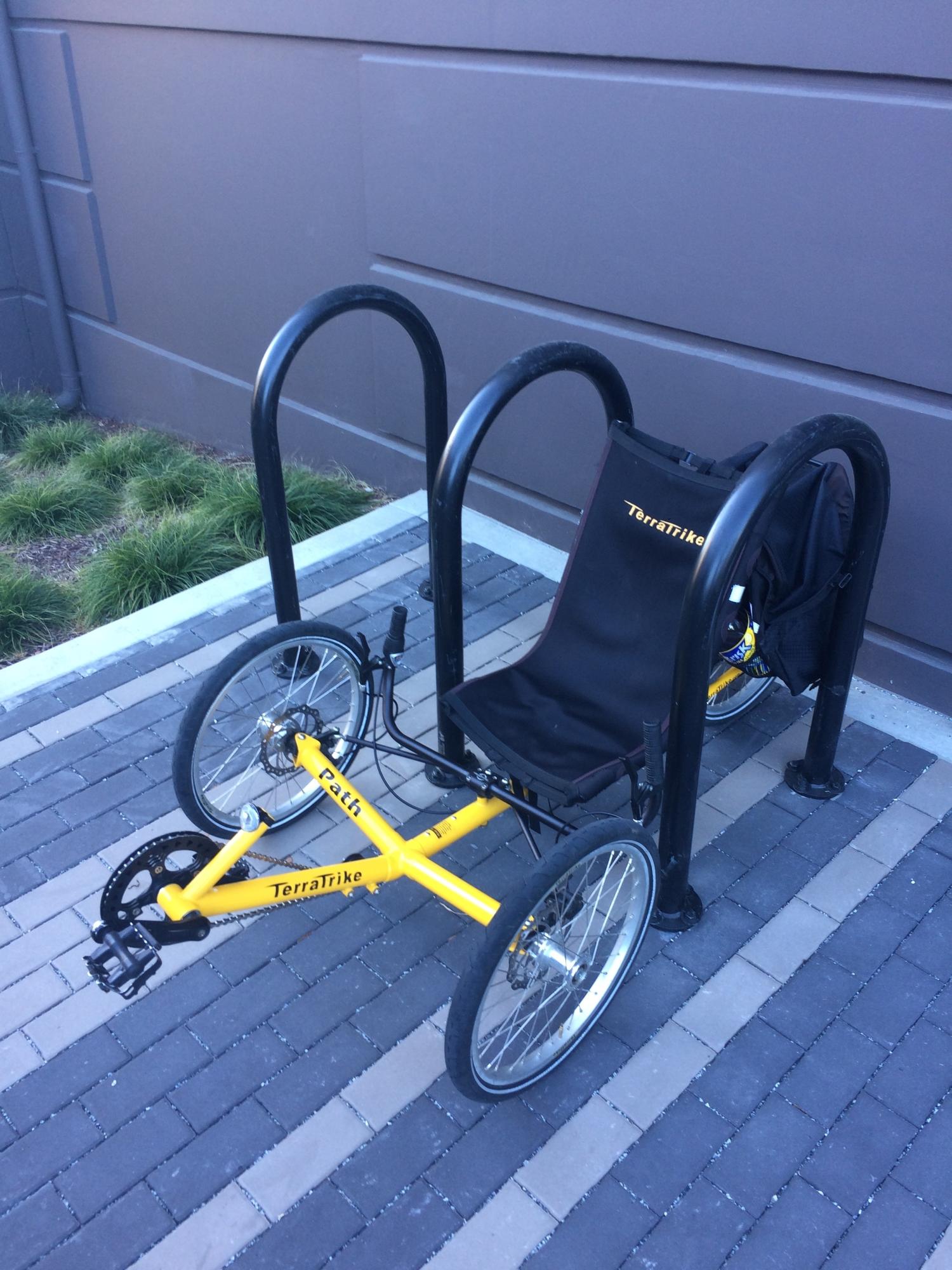 Terra Trike Path Yellow or Gold