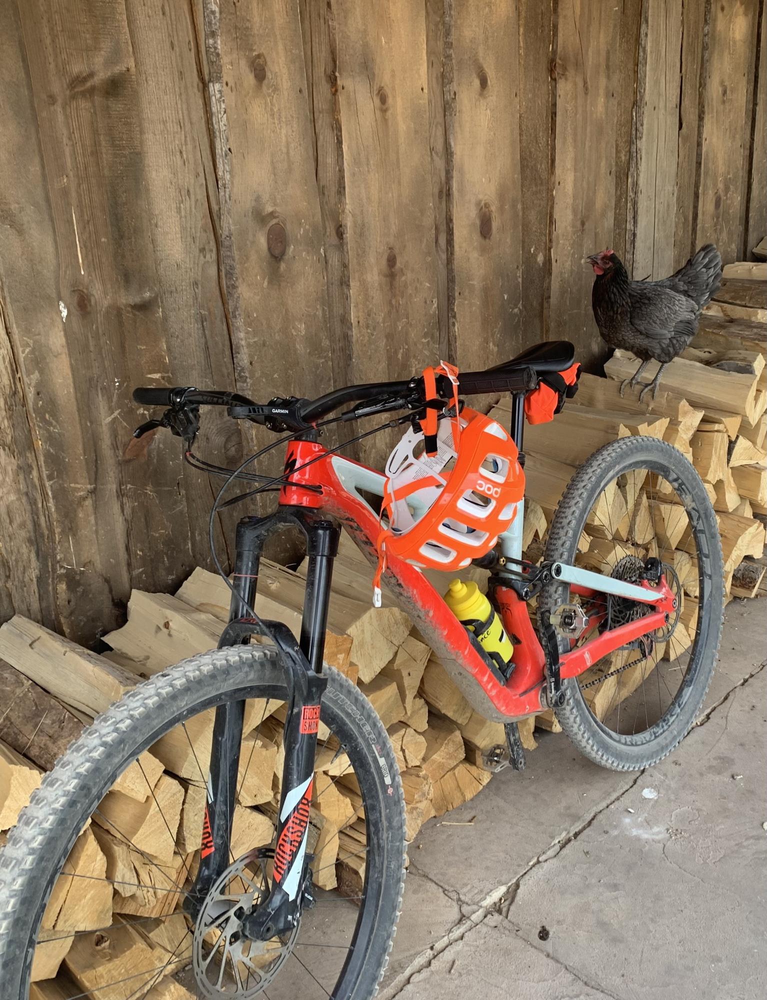 2017 Specialized Enduro Pro Carbon FSR 29 / 6 Fattie Red and White