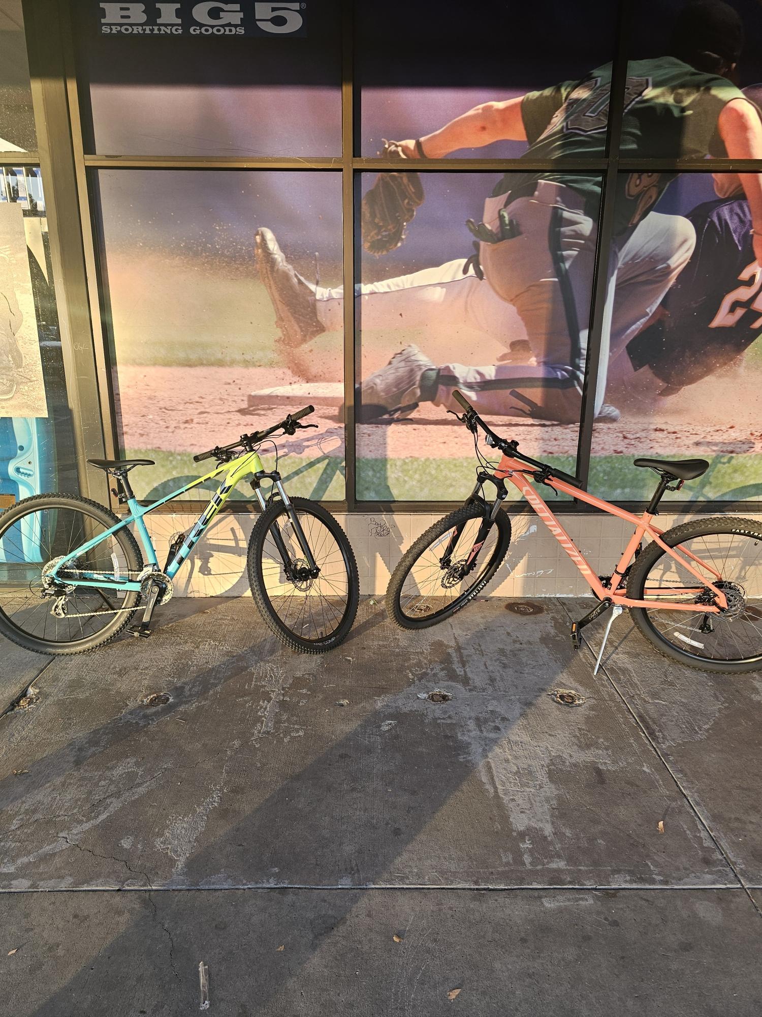 2023 Specialized Large Orange