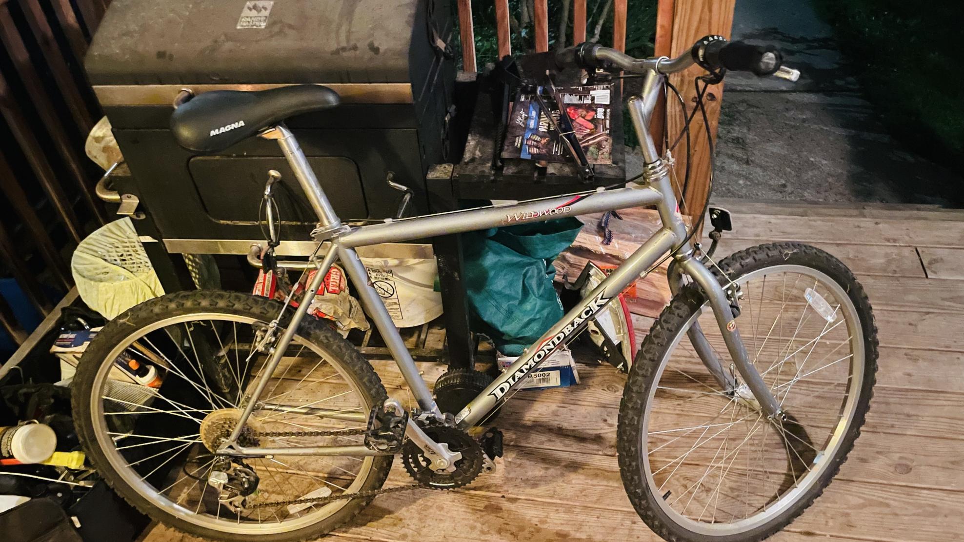 2018 Diamondback Outlook Silver, gray or bare metal