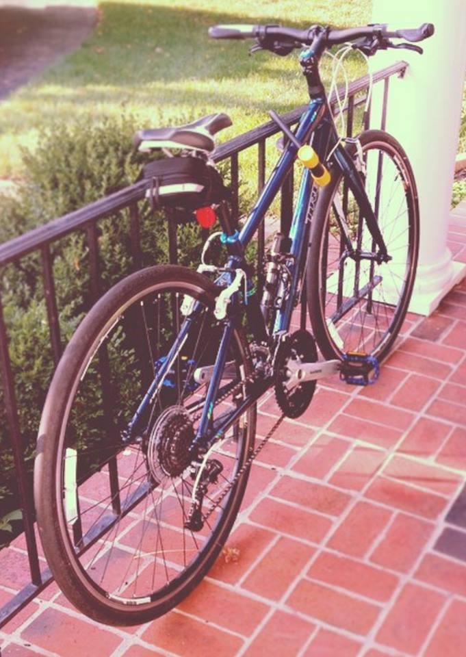 2013 Trek 7.4 FX WSD Blue