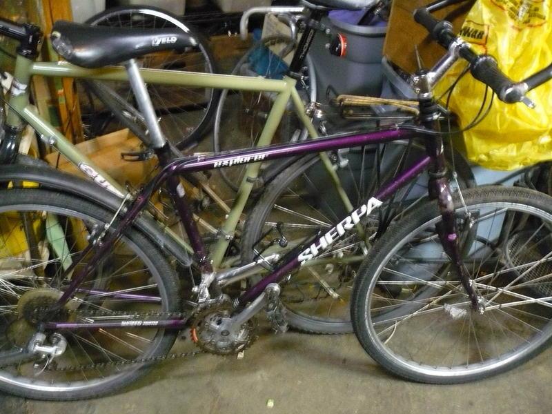 1990 Sherpa explorer  Purple