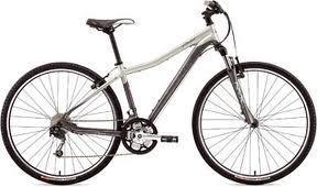 2010 Specialized Ariel Elite  Black