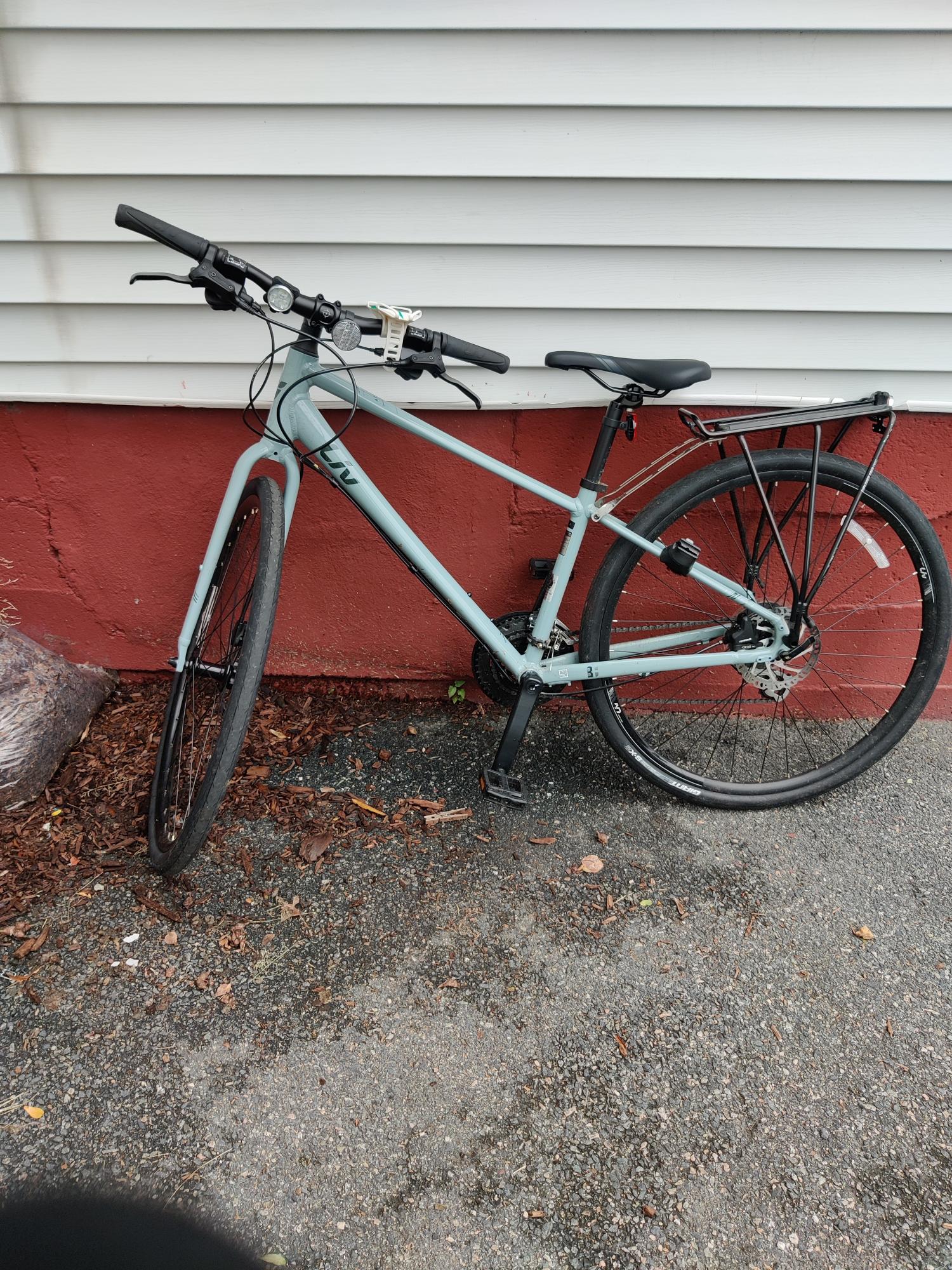 2021 Giant 2021 Alight 2 Silver, gray or bare metal