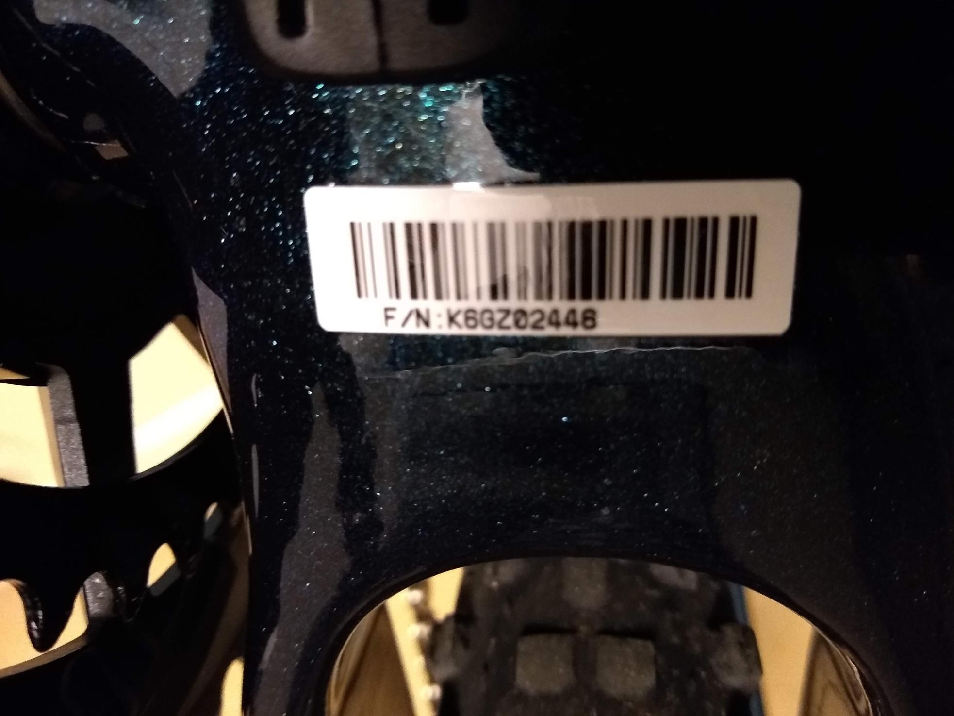 2022 Giant Revolt Blue and Green