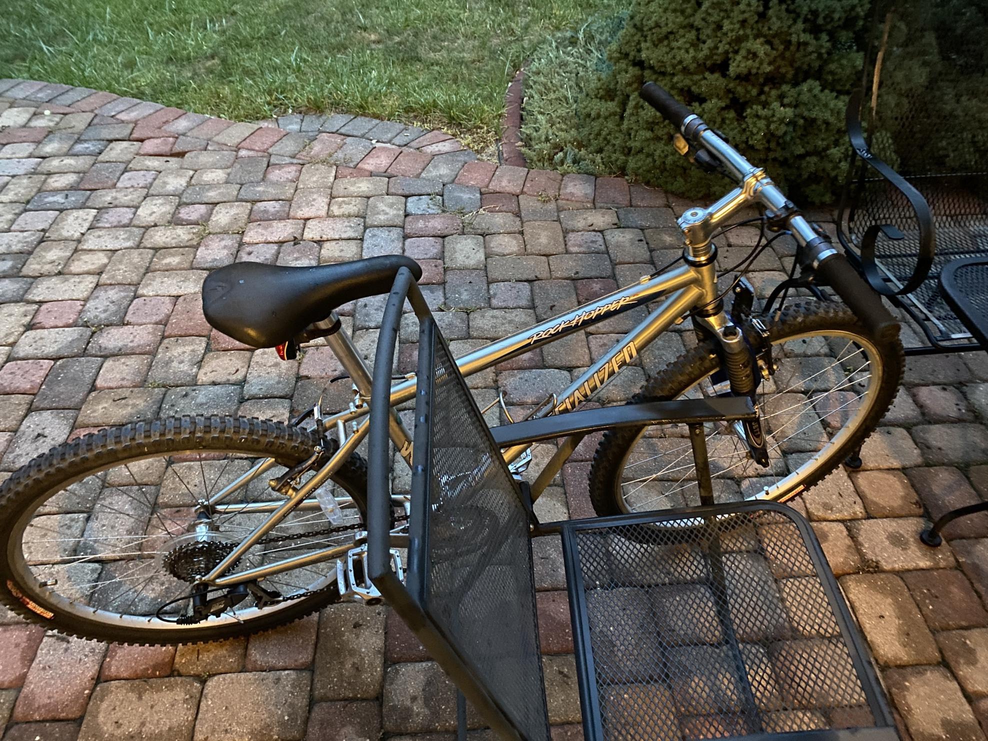 Specialized Rockhopper Silver, gray or bare metal