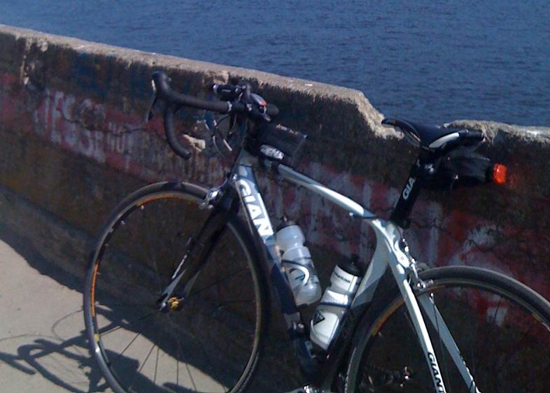 2009 Giant Defy Advanced 2 Silver or Gray and White