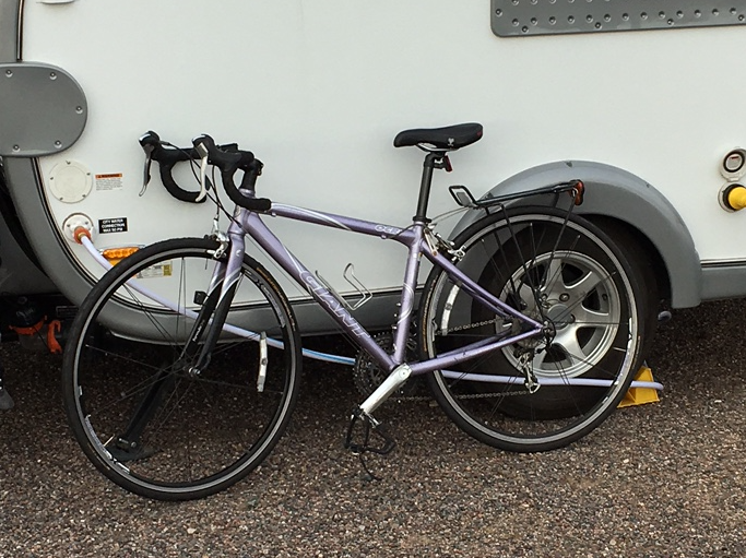 2009 Giant Purple and White