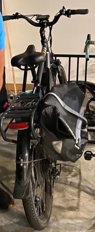 2019 Rad Power Bikes RadCity HS Silver, gray or bare metal