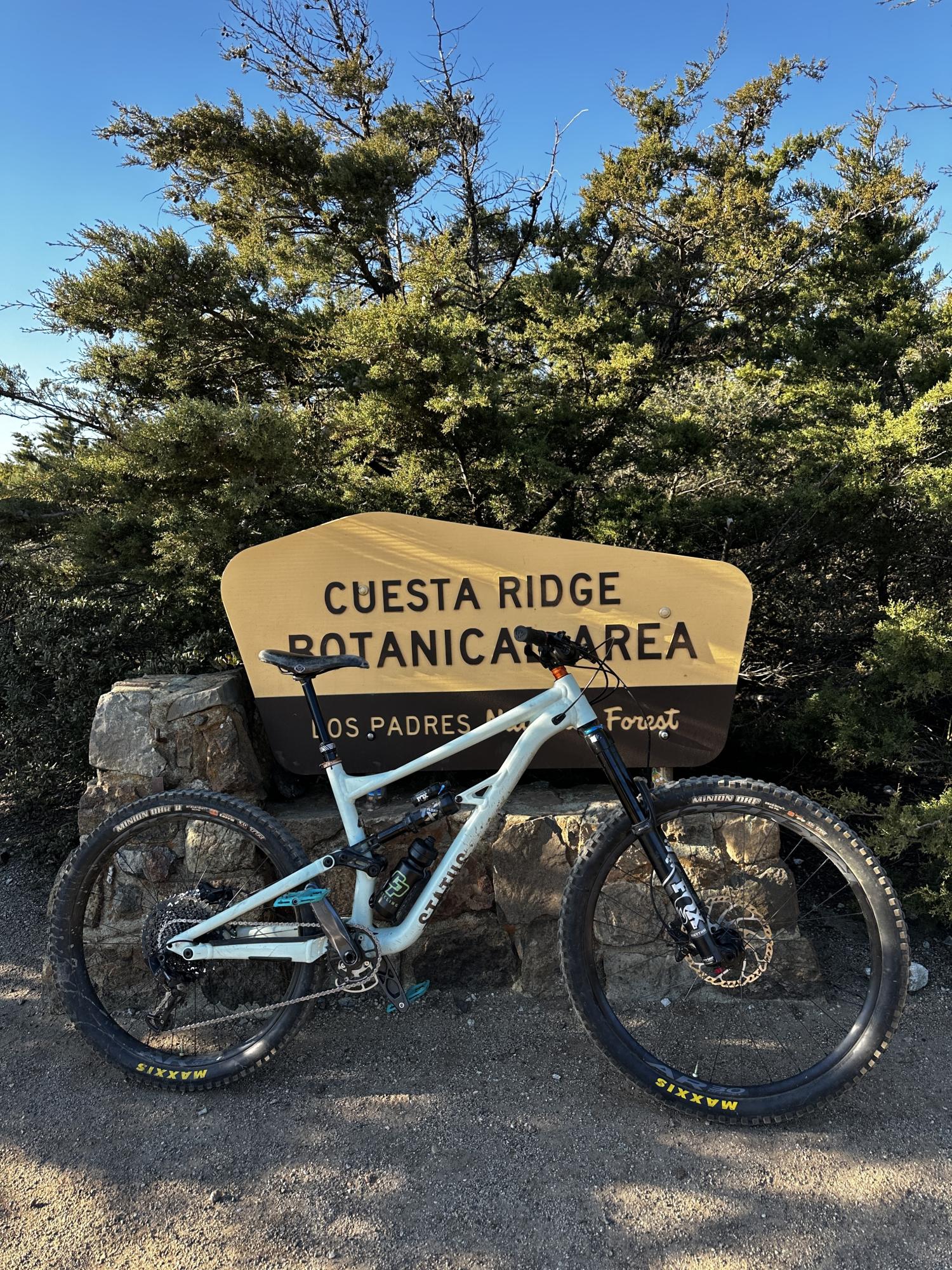 2022 Specialized Status Teal