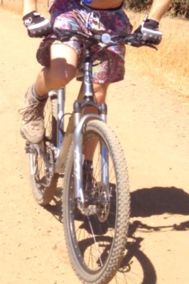 2007 Trek 4300 Disc  Silver or Gray