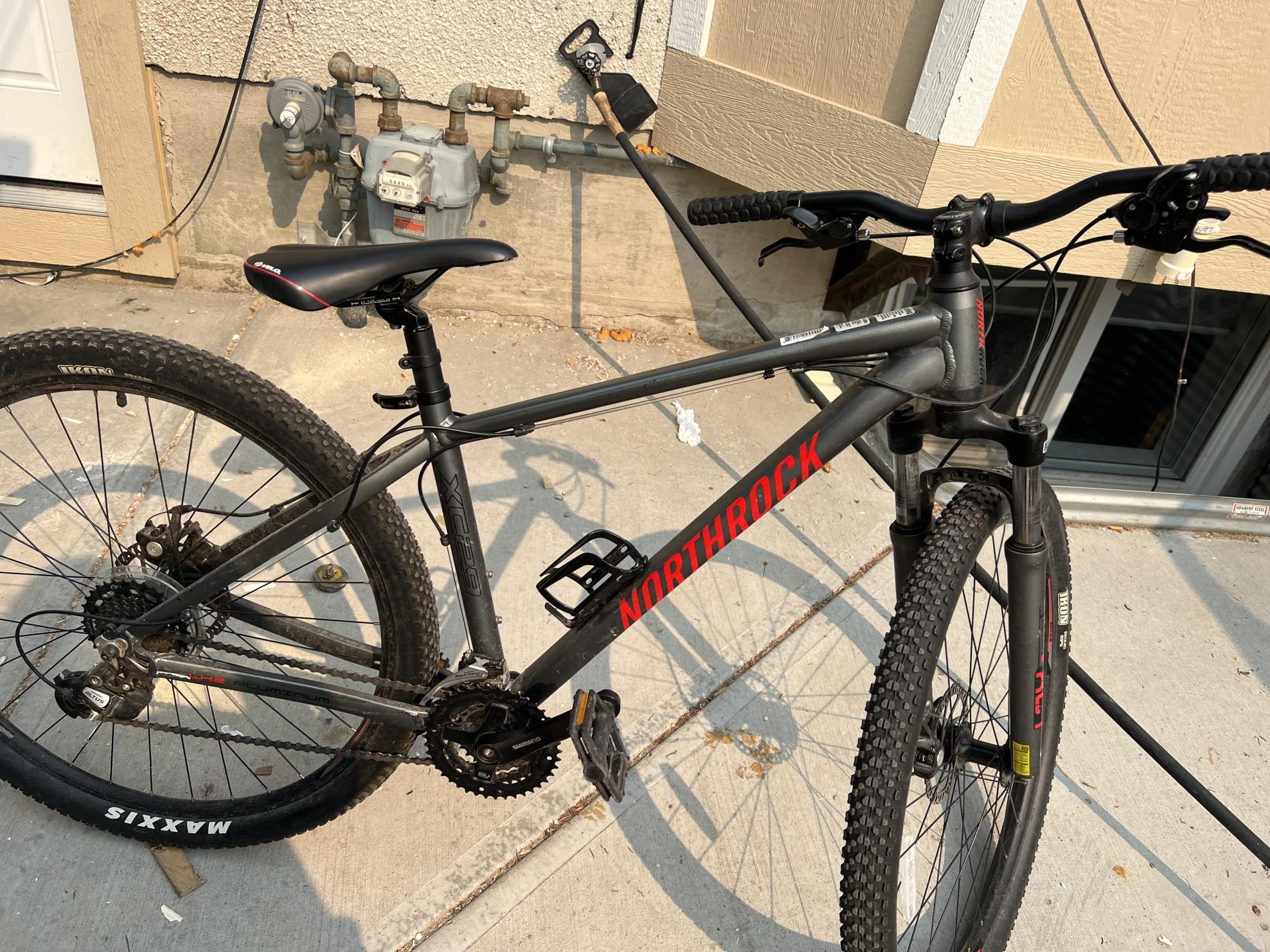 2021 Northrock 29 inch mountain bike Silver, gray or bare metal