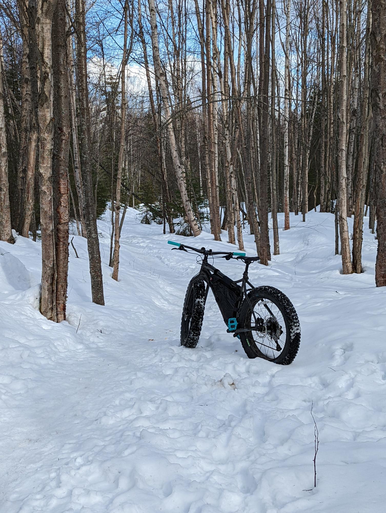 2021 Salsa Mukluk Black