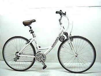 2010 Northrock c15  White