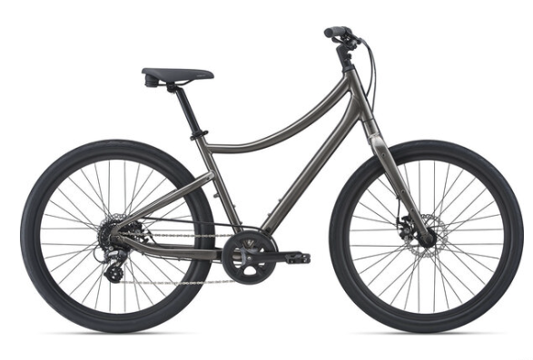 2023 Momentum 21 VIDA MD Brown