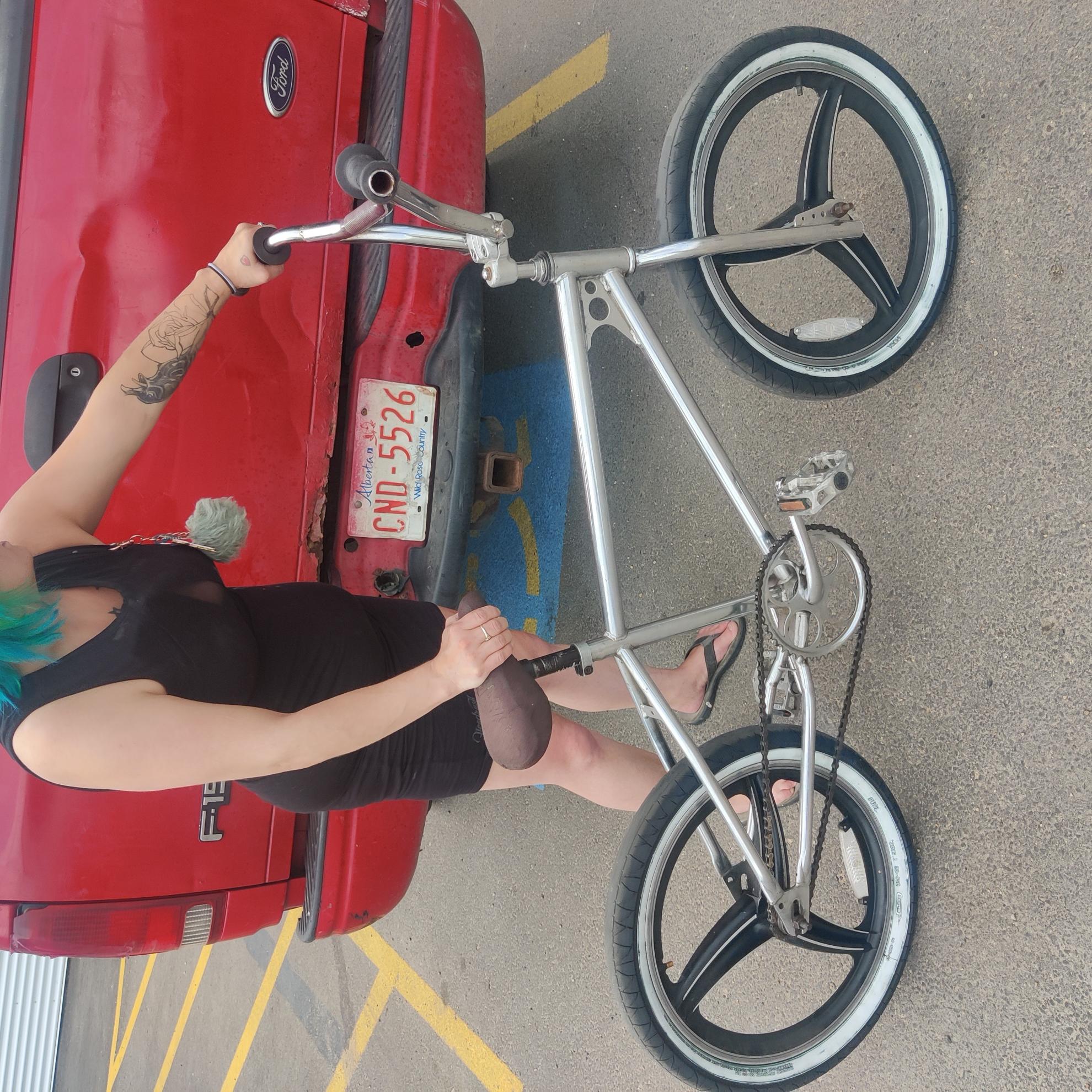 1982 Raleigh bmx Silver, gray or bare metal