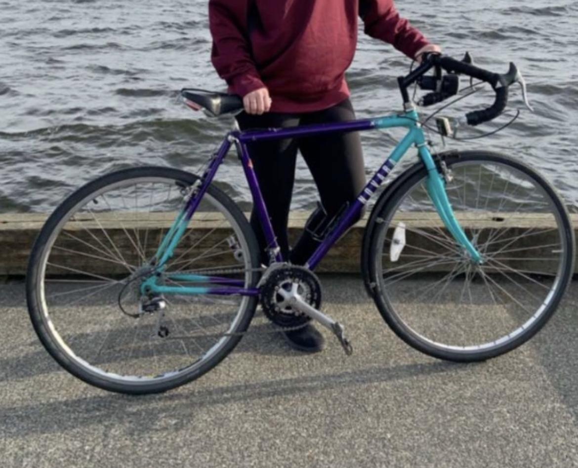 Novara Purple and Teal