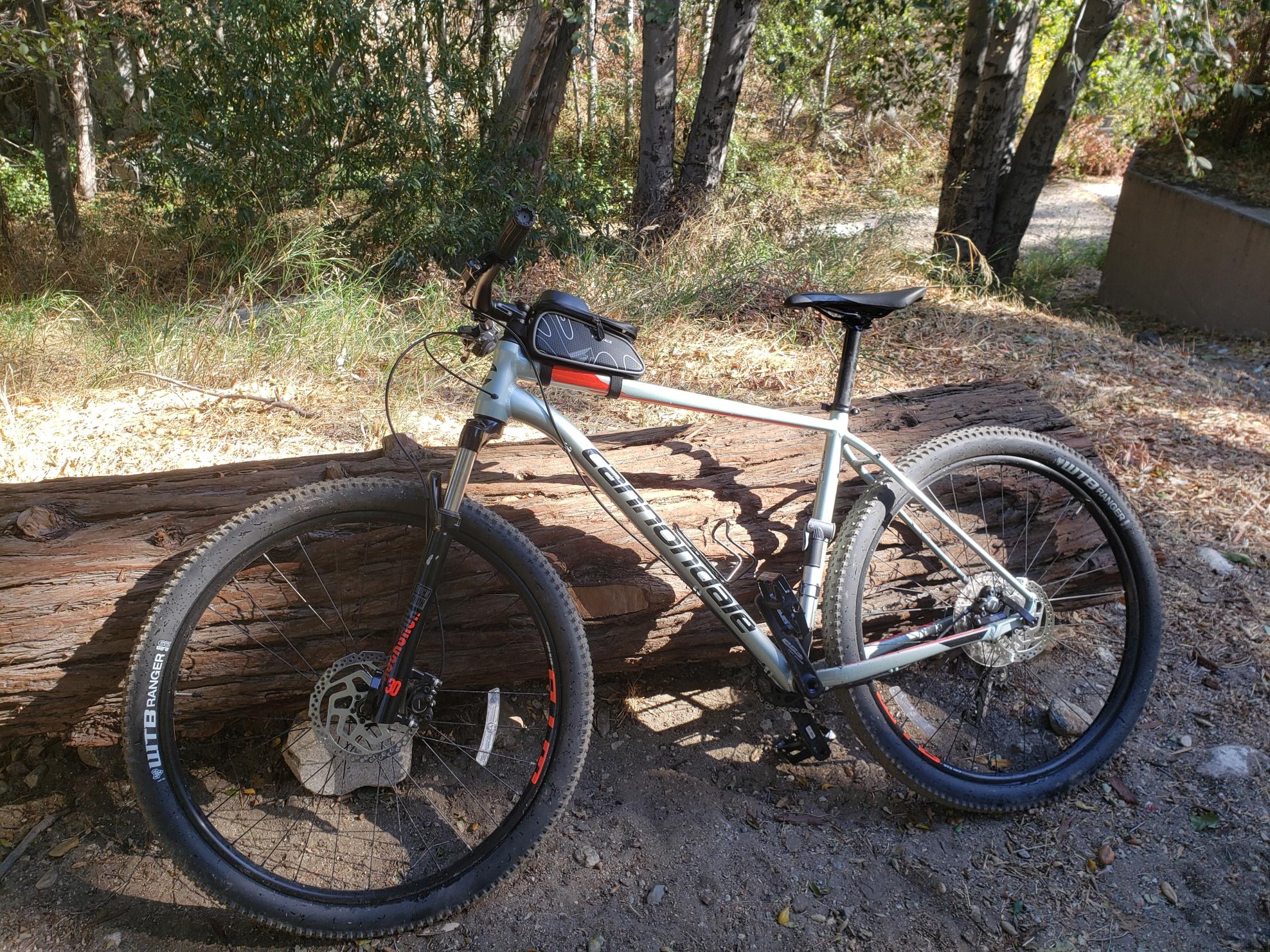2019 Cannondale Trail 4 Green