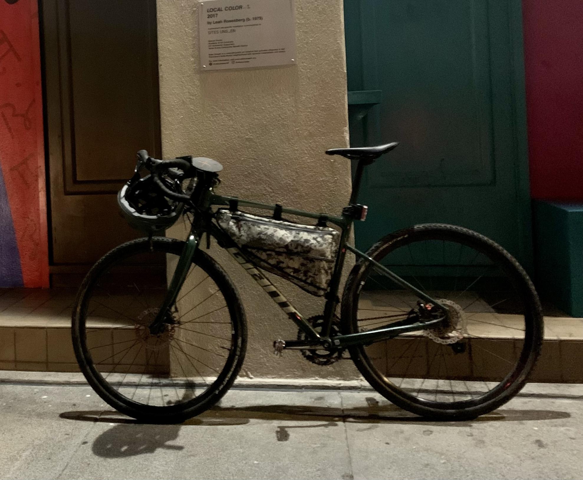 2020 Giant Revolt Green