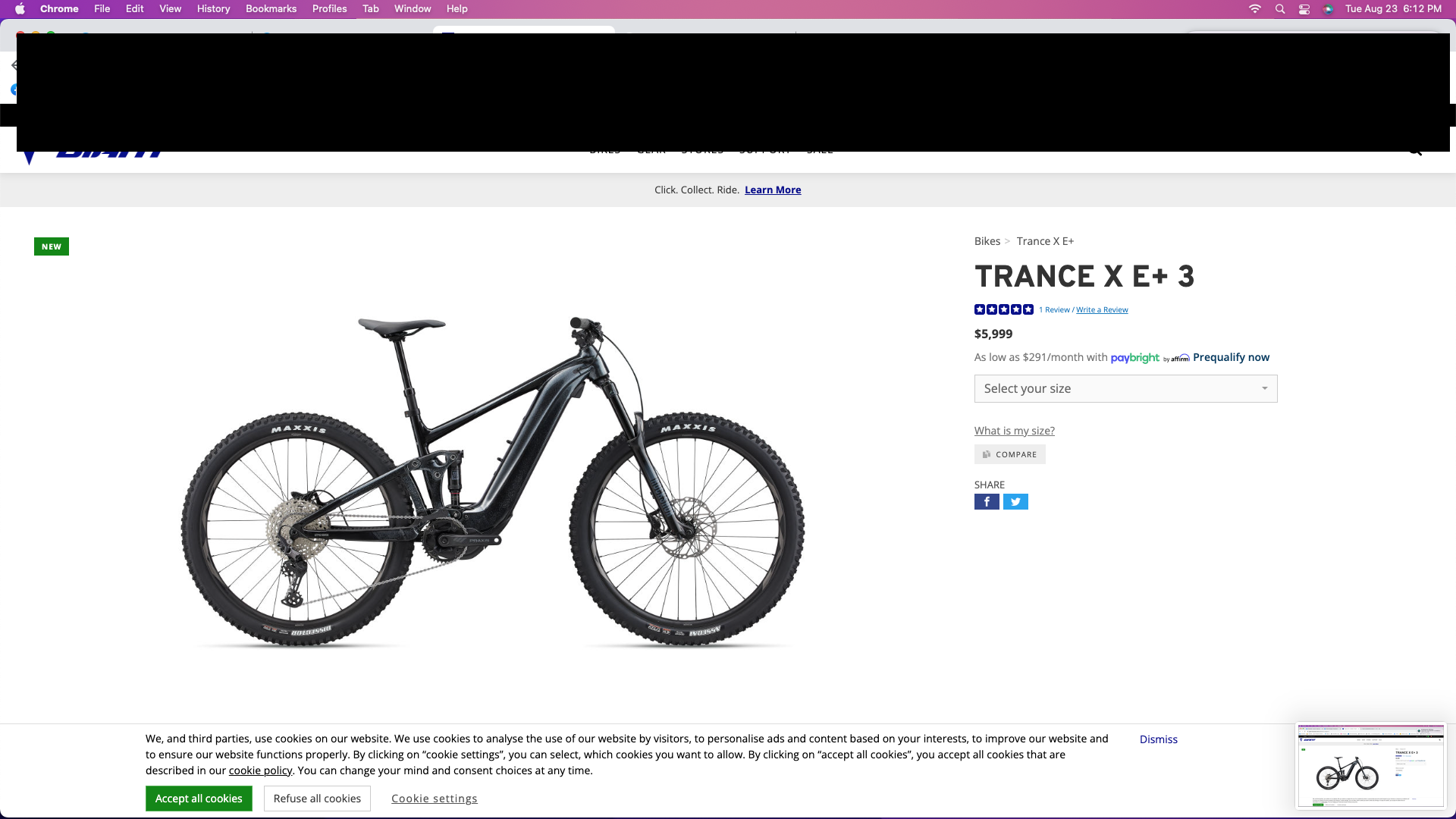 2022 Giant Trance XE +3 Brown