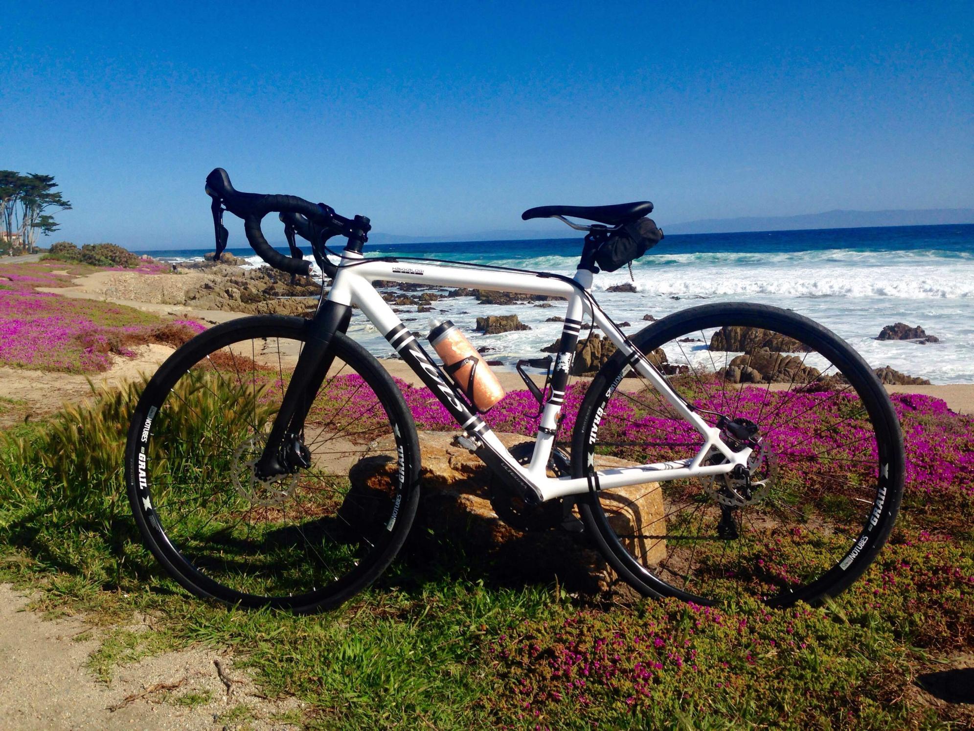 2016 Ibis Hakkalugi White and Black