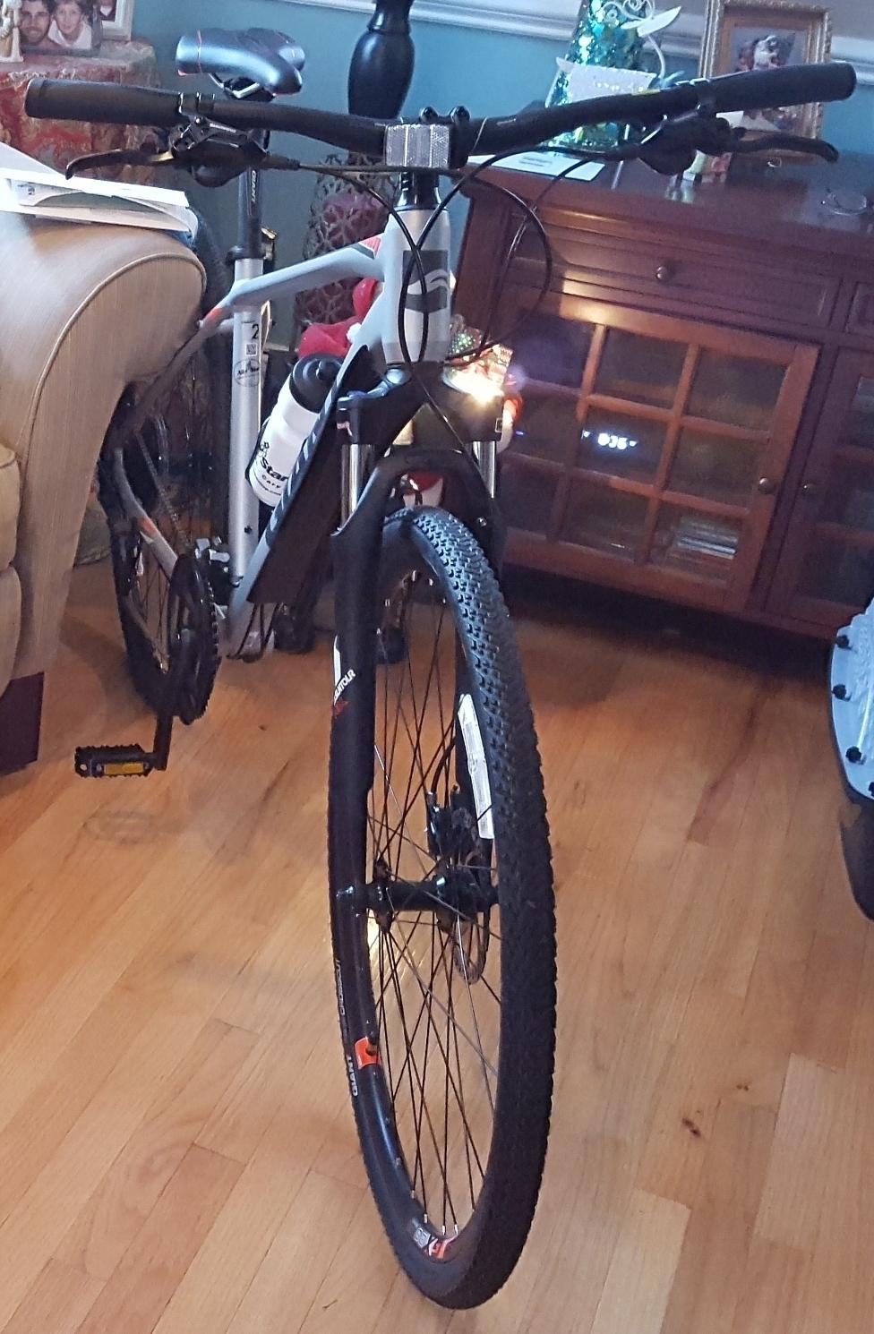 2017 Giant Roam 2 Silver, gray or bare metal