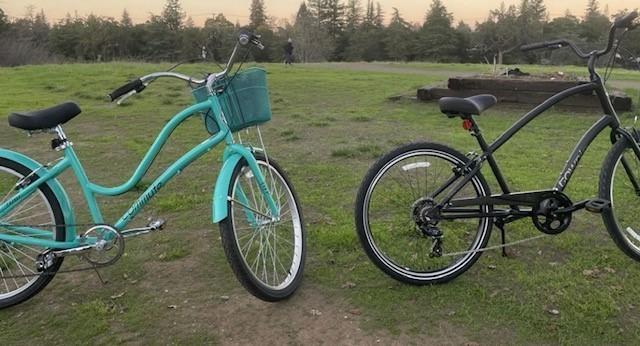 2021 Electra 21 TOWNIE 7D MENS Black