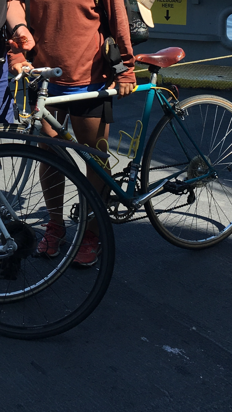 1988 Raleigh Technium Tri-lite Silver or Gray, Blue, and Yellow or Gold