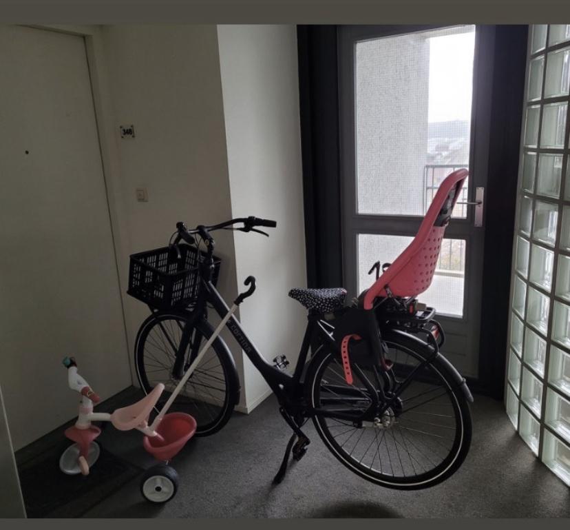 2021 Cortina Cycles Common Black