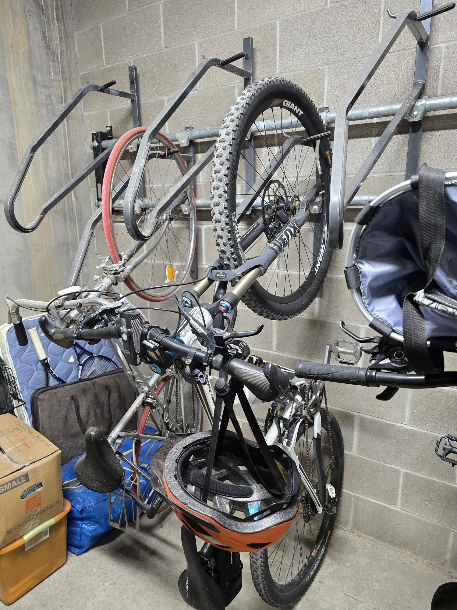 Giant Anthem X 29er 1 White